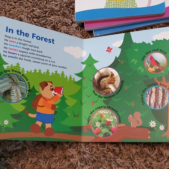 Baby Einstein books, set of 5 - Picture 8 of 9